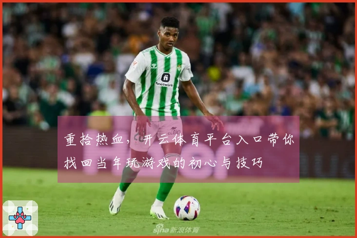 重拾热血，开云体育平台入口带你找回当年玩游戏的初心与技巧