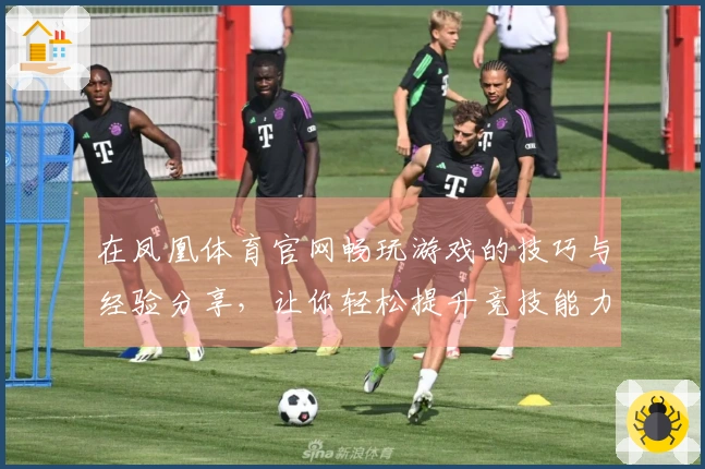 在凤凰体育官网畅玩游戏的技巧与经验分享，让你轻松提升竞技能力
