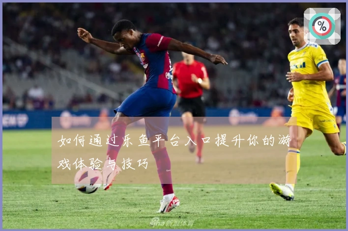 如何通过乐鱼平台入口提升你的游戏体验与技巧