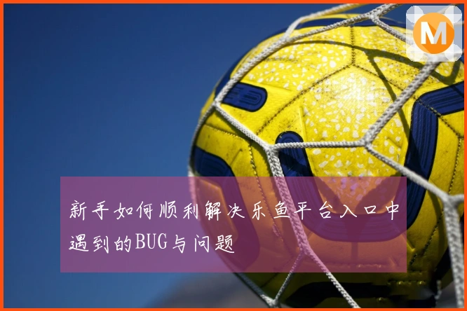 新手如何顺利解决乐鱼平台入口中遇到的BUG与问题