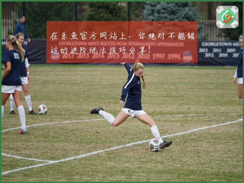 在乐鱼官方网站上，你绝对不能错过的进阶玩法技巧分享！